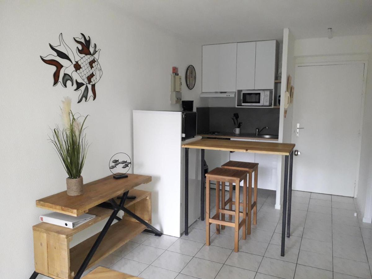 Apartment Le Venizio - Classe 2 Etoiles - T2 Climatise, Avec Terrasse, Parking, Pret De Velos, 10 Minutes A Pied Gare Et Centre Ville